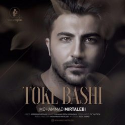Mohammad Mirtalebi – Toke Bashi