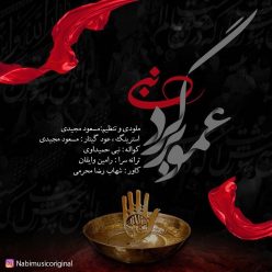 Nabi – Amoo Bargard