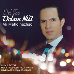 Ali MahdiNezhad – Del Too Delam Nist