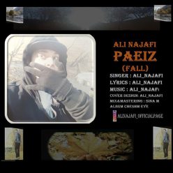 Ali Najafi – Paeiz