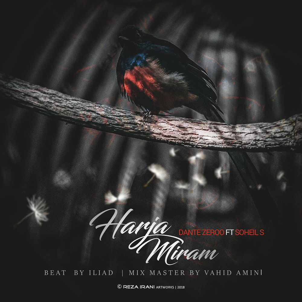 Dante Zeroo Ft Soheil S – Harja Miram