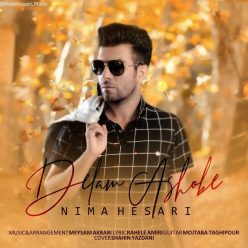 Nima Hesari – Delam Ashobeh