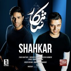 Player Cover