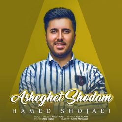 دانلود آهنگ حامد شجاعی نمونه ای