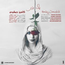 Kambiz Jamshidi – Pelk Bezan