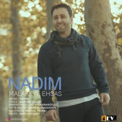 Player Cover