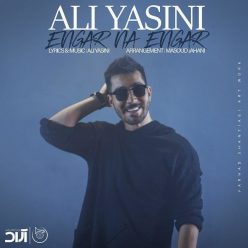Player Cover