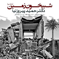 دانلود آهنگ حمید پیروزنیا شبیخون زمین با کیفیت 320