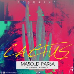 Masoud Parsa (Boomrang) – Cactus