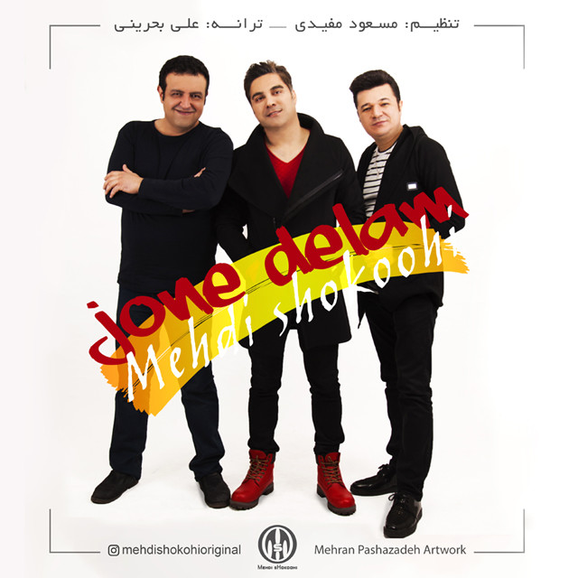 Mehdi Shokoohi – Joone Delam