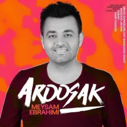 Meysam Ebrahimi  Aroosak