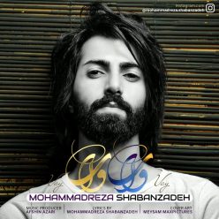 Mohammad Reza Shabanzadeh – Vay Vay