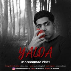 Mohammad Ziaei – Yalda