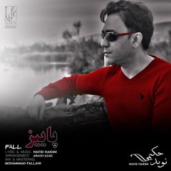 دانلود آهنگ نوید حکیمی برگرد
