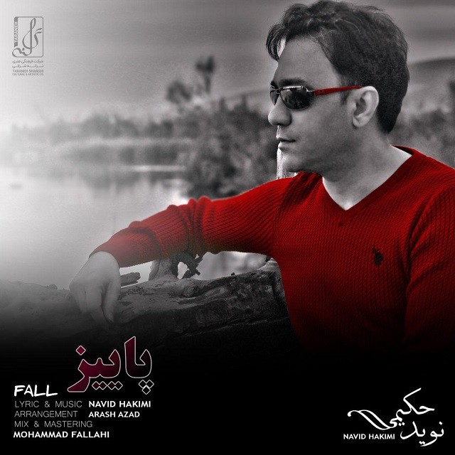 دانلود آهنگ نوید حکیمی برگرد