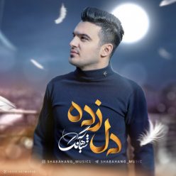 دانلود آهنگ هومن نجفی و شباهنگ مشکلم