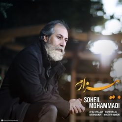 Player Cover
