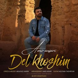 Amir Ansari – Delkhoshim