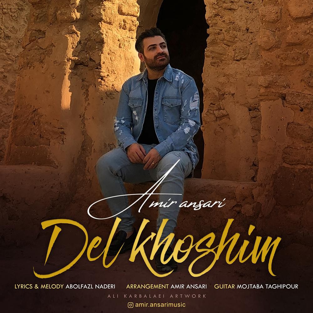 Amir Ansari – Delkhoshim