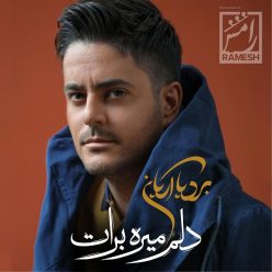 Bardia Arian – Delam Mireh Barat