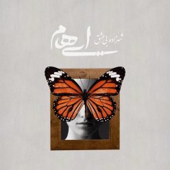 Player Cover