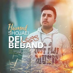 Hamed Shojaei – Del Beband