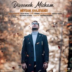 Meysam Khajevandi – Divoone Misham