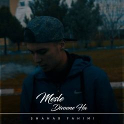 Shahab Fahimi – Mesle Divoone Ha