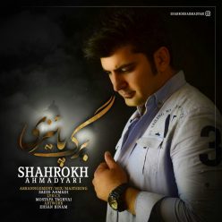 Shahrokh Ahmadyari – Barge Paeizi