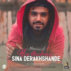 Player Cover