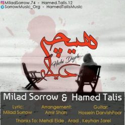Milad Sorrow & Hamed Talis – Hichi Dige