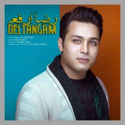Reza Arfaei – Deltangam