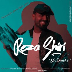 Player Cover