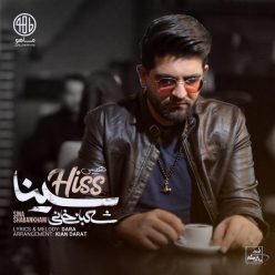 Player Cover