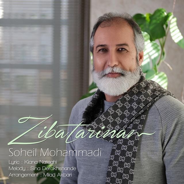 Soheil Mohammadi – Zibatarinam
