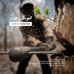 Player Cover