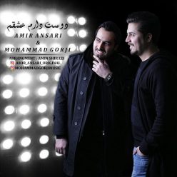 Amir Ansari & Mohammad Gorji – Dooset Daram Eshgham