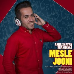 Amir Shayan Shahnavaz – Mesle Jooni