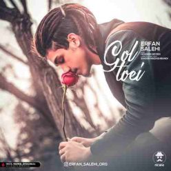 Erfan Salehi – Gol Toei