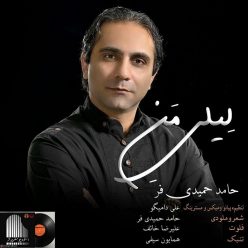 Hamed Hamidifar – Leilye Man