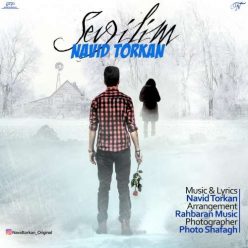 Navid Torkan – Sevgilim