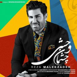 Player Cover