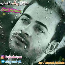 Shayan Baygmohammadi – Sani Seviram