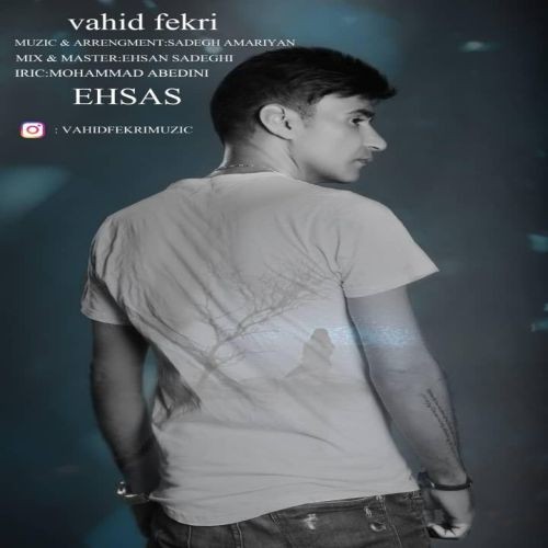 دانلود آهنگ وحید فکری احساس