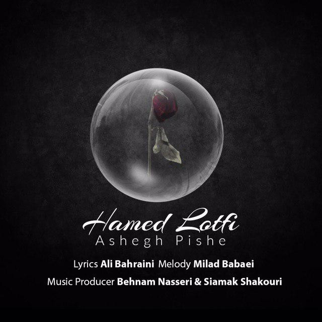 Hamed Lotfi – Ashegh Pishe