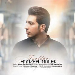 Hamzeh Malek – Tarafdar