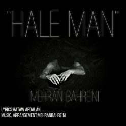 Mehran Bahreini – Hale Man