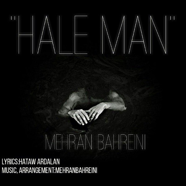 Mehran Bahreini – Hale Man