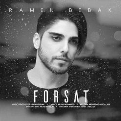 Player Cover