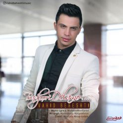 Vahid Beheshti – Badjoori Delamo